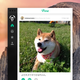 Illustration for article titled 20 Beautiful Yosemite App and Icon Concept Designs